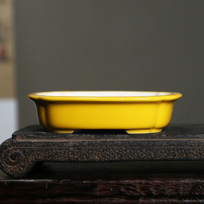 Bonsai Garden China - Vaso de Bonsai Retangular de Porcelana,
