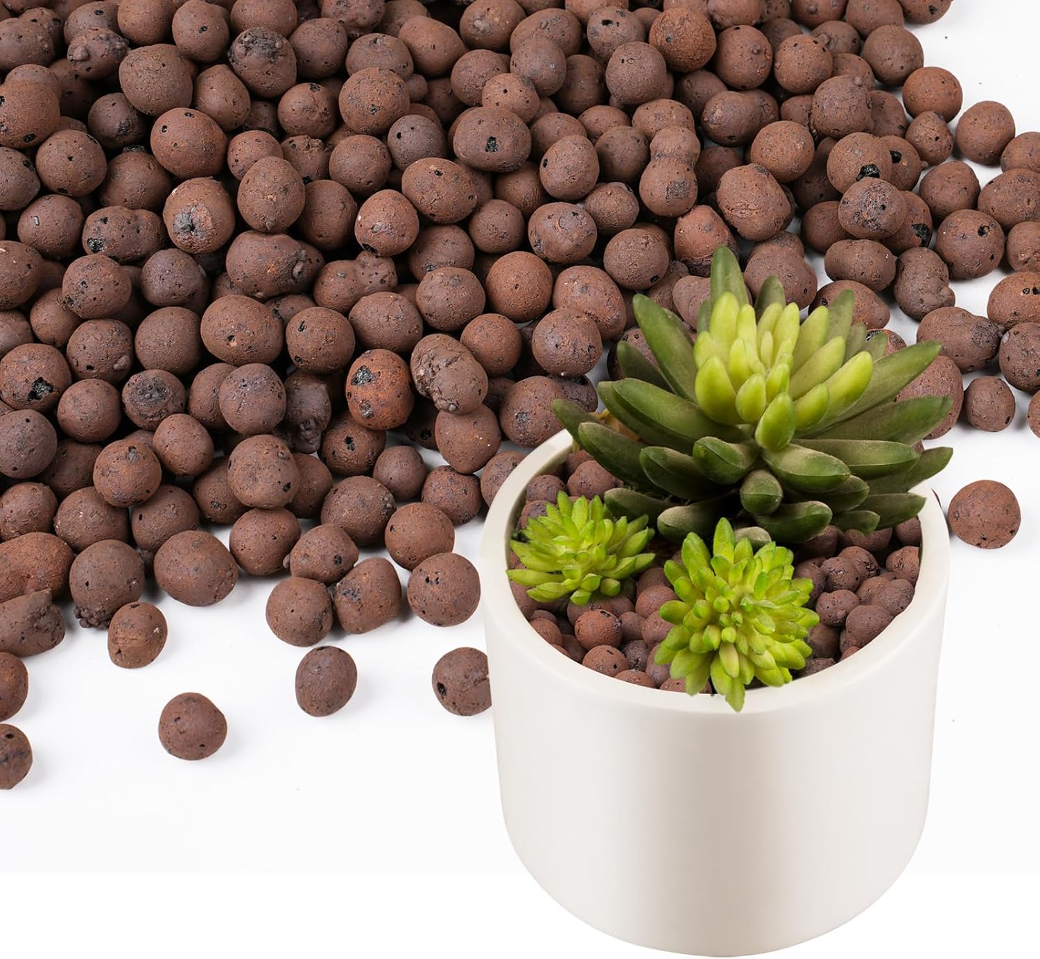 Sphagnum Moss Bag - Argila em Bolinhas 100/200G para Plantas,