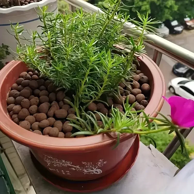 500 g/pacote jardim hidropônic - Sphagnum Moss Bag avaliação e preço