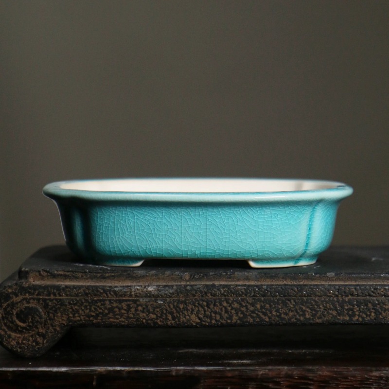 Vaso de Bonsai Retangular de P - Bonsai Garden China avaliação e preço