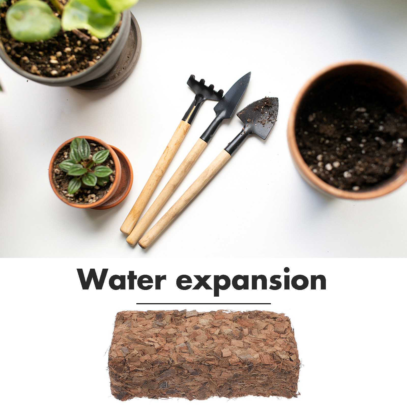 Bloco de Cultivo de Sphagnum e - Sphagnum Moss Bag avaliação e preço
